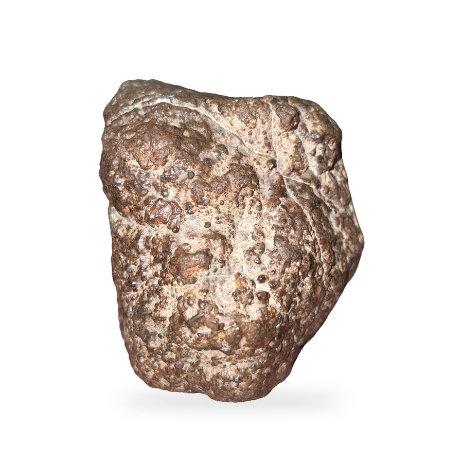 Météorite Chondrite L3 · NWA · 314 g
