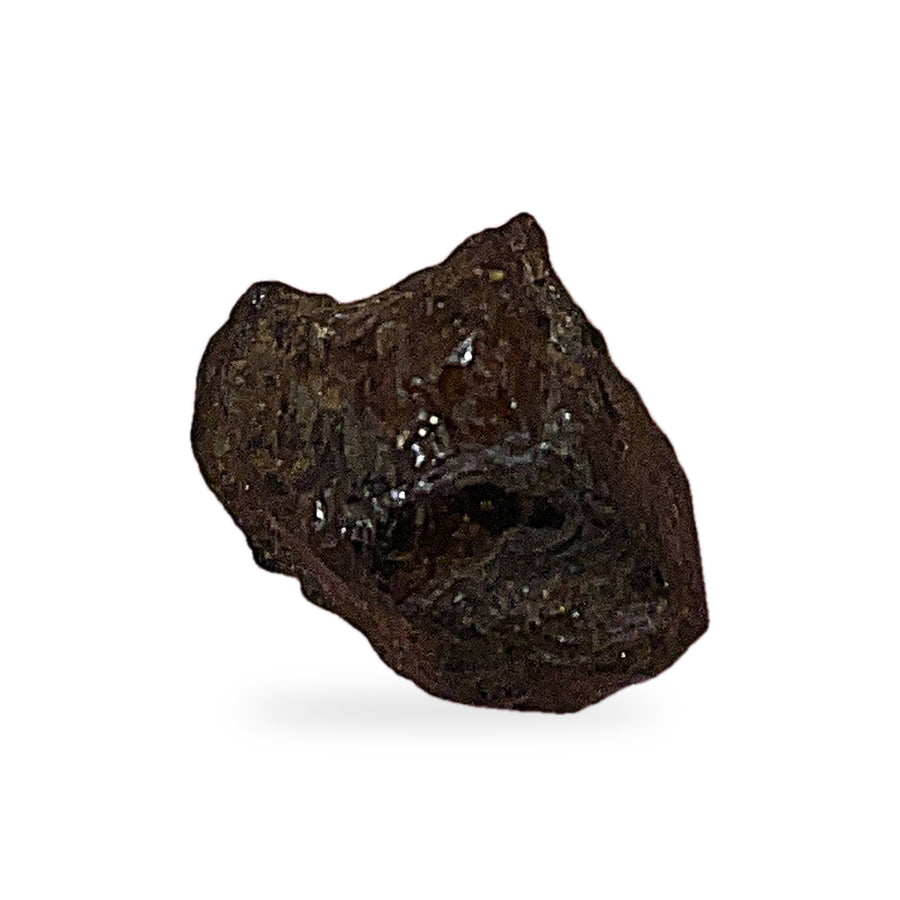 Météorite Pallasite · Cristaux d'olivine · NWA · 2g