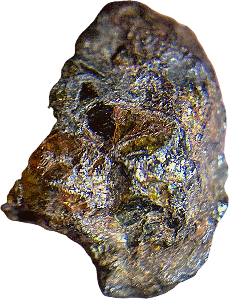 Météorite Pallasite · Cristaux d'olivine · NWA · 2g